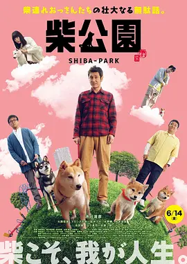 偷偷操不一样的久久